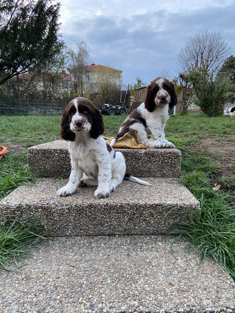 Hermes und Hera